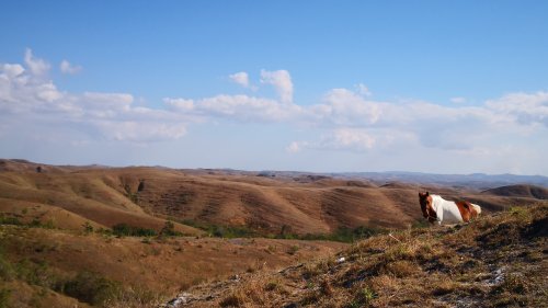 Sumba, Bukit Warindang